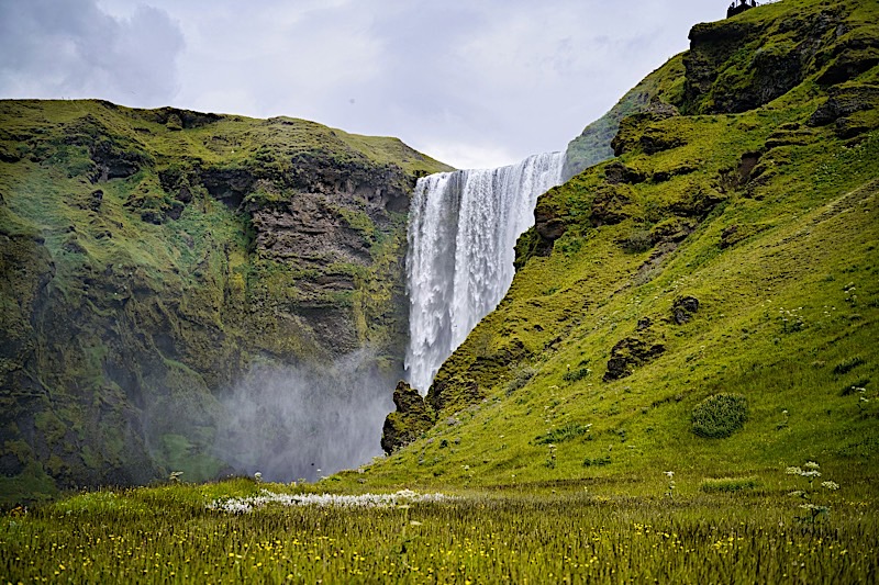 photo-1733152799332-f9eec1ff64f2