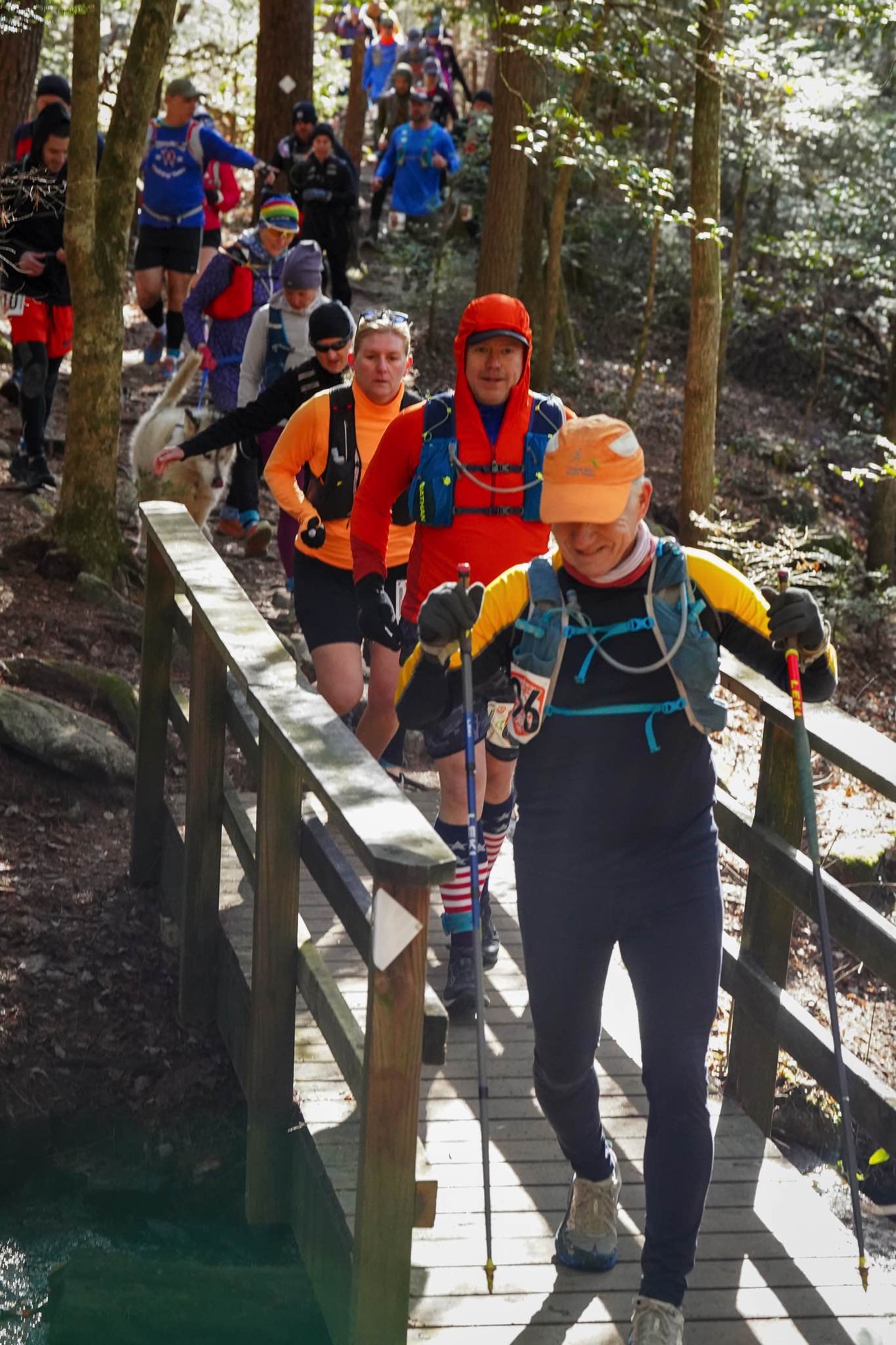 A line of runners climbs a wooden bridge through the forest