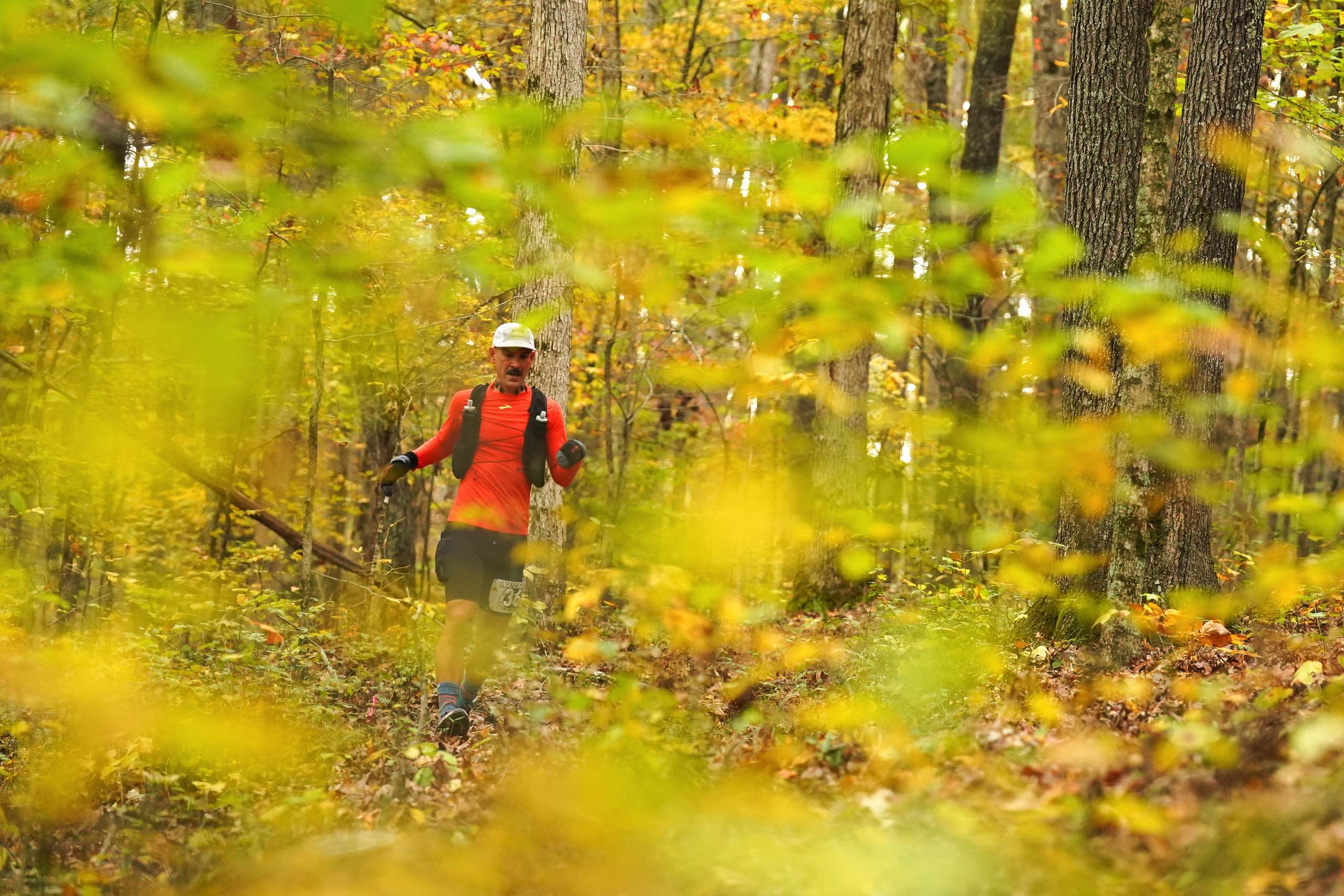 On the Natchez Trace National Scenic Trail