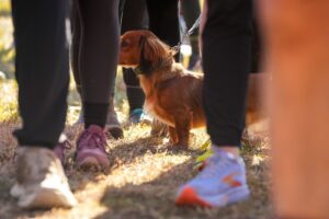 Black Toe Run 2026 photo 67
