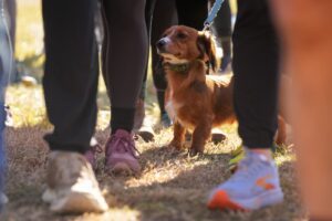 Black Toe Run 2026 photo 68
