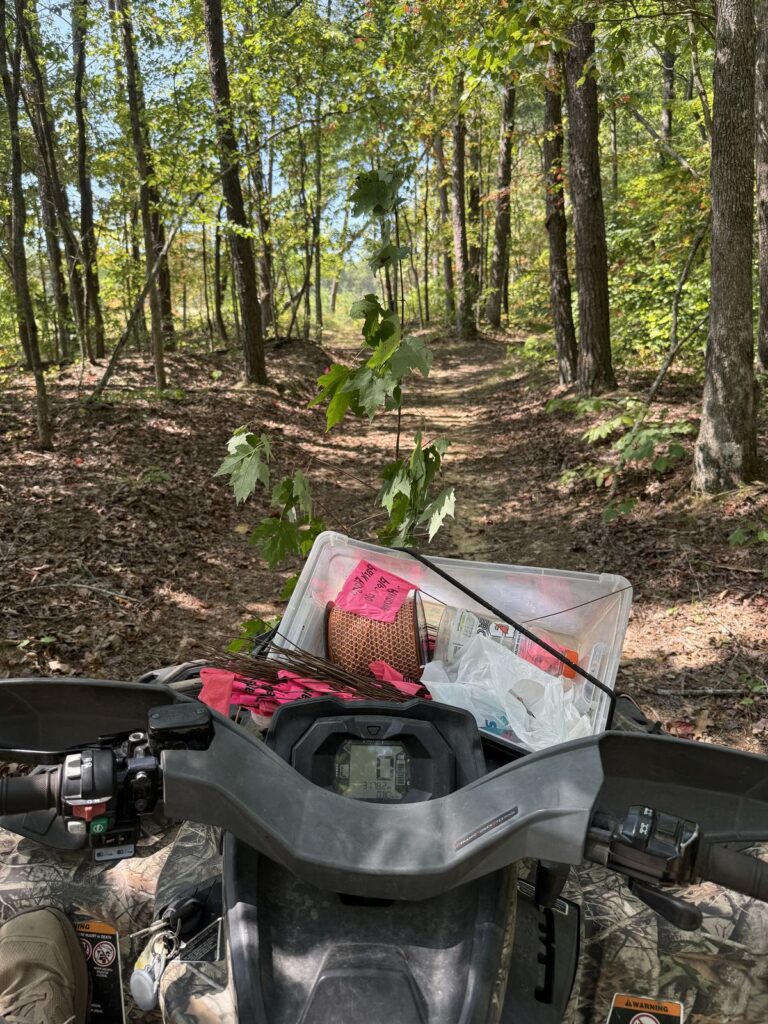 Caney Fork Ultra 2026 photo 4