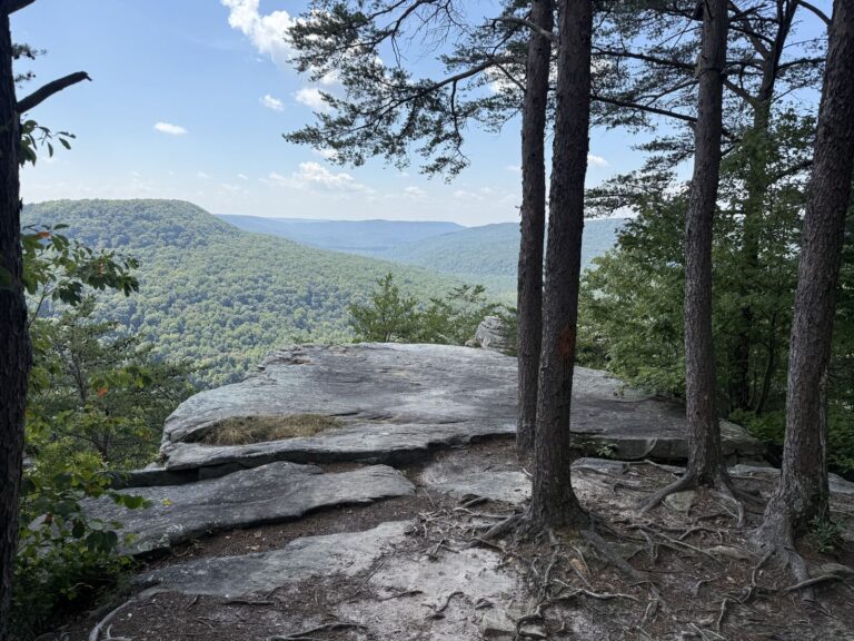 Caney Fork Ultra 2026 photo 6