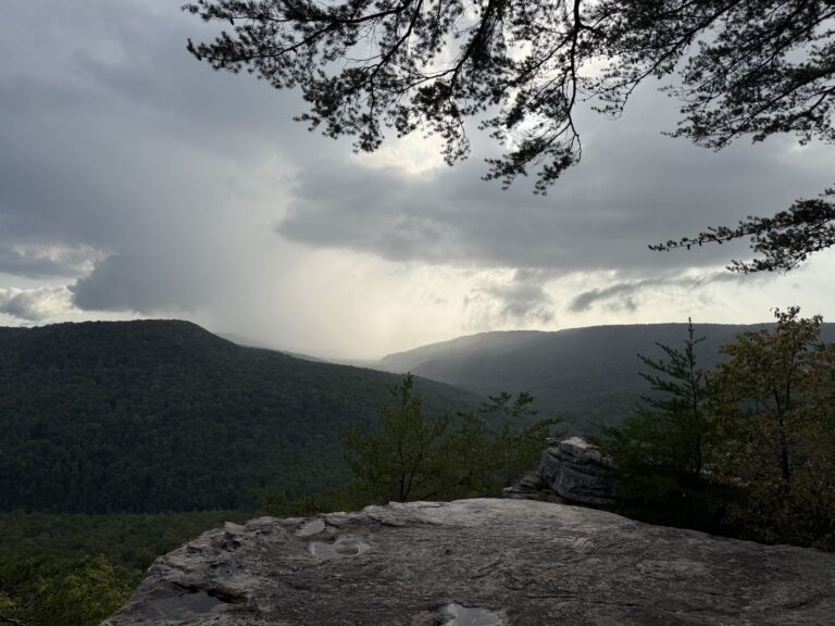 Caney Fork Ultra 2026 photo 134