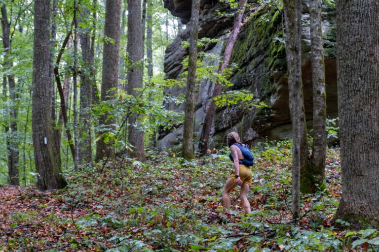 Caney Fork Ultra 2026 photo 213