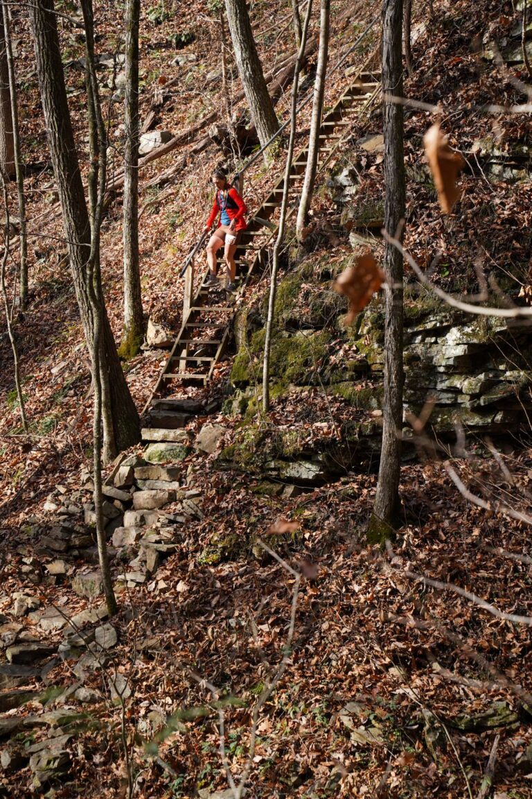 Fiery Gizzard 2023 photo 51