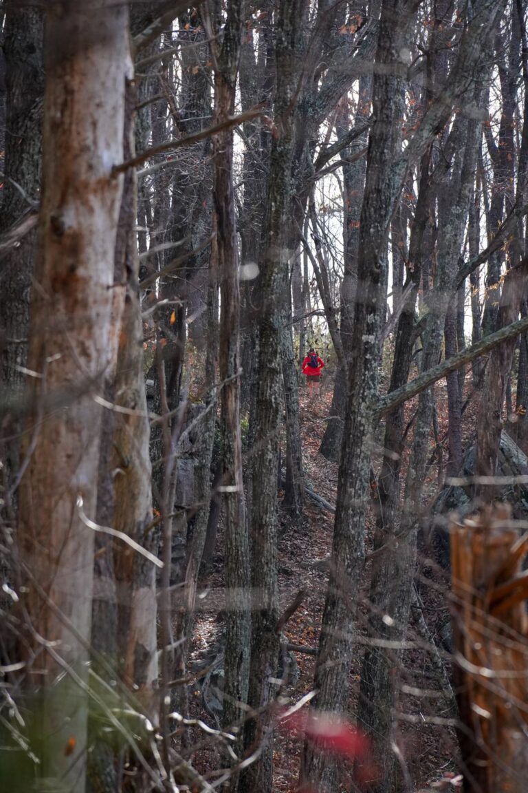Fiery Gizzard 2023 photo 58