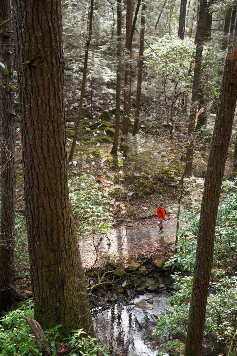 Fiery Gizzard 2023 photo 207