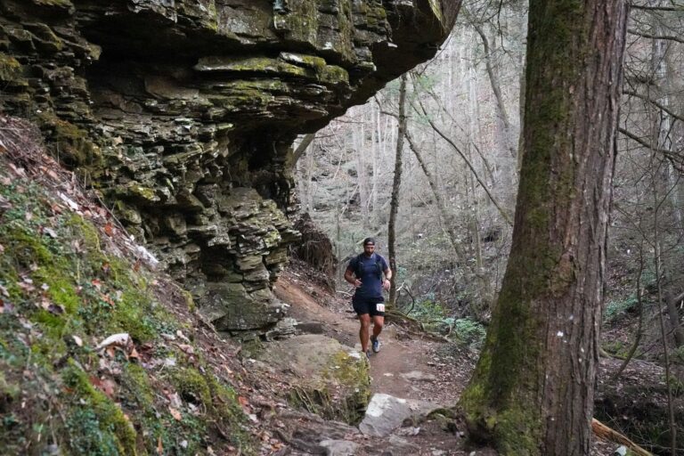 Fiery Gizzard 2023 photo 221