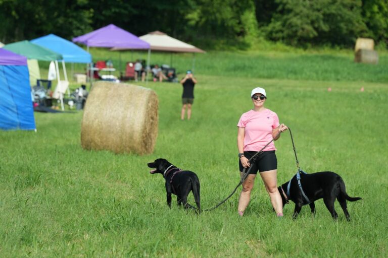 Hell Mary 2026 photo 25