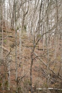 Music City Trail Ultra 2026 photo 102