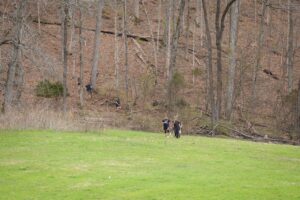 Music City Trail Ultra 2026 photo 110
