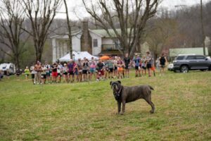 Music City Trail Ultra 2026 photo 143
