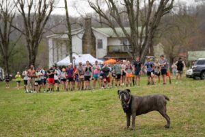 Music City Trail Ultra 2026 photo 144