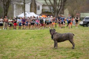 Music City Trail Ultra 2026 photo 145