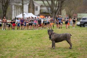 Music City Trail Ultra 2026 photo 146