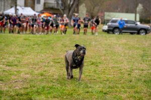 Music City Trail Ultra 2026 photo 147