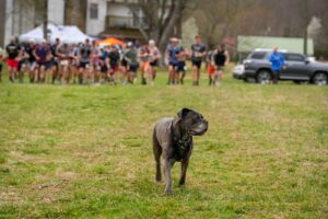 Music City Trail Ultra 2026 photo 148