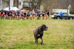 Music City Trail Ultra 2026 photo 149