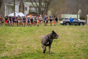 Music City Trail Ultra 2026 photo 150