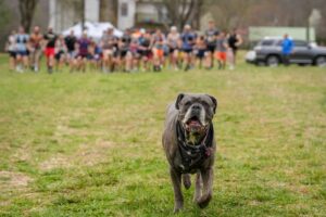 Music City Trail Ultra 2026 photo 151