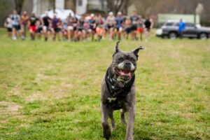 Music City Trail Ultra 2026 photo 152