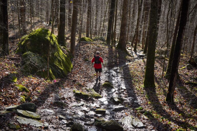 Savage Gulf 2023 trail race photo 80
