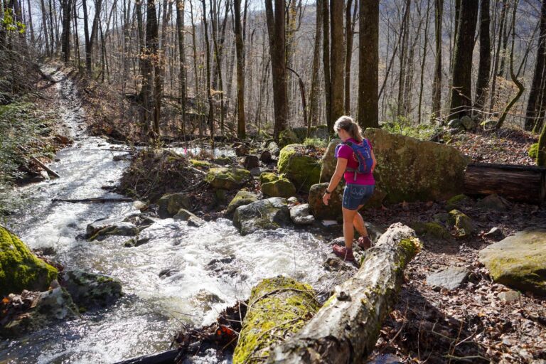 Savage Gulf 2023 trail race photo 106