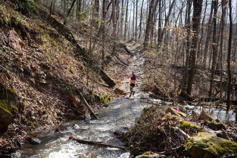 Savage Gulf 2023 trail race photo 118