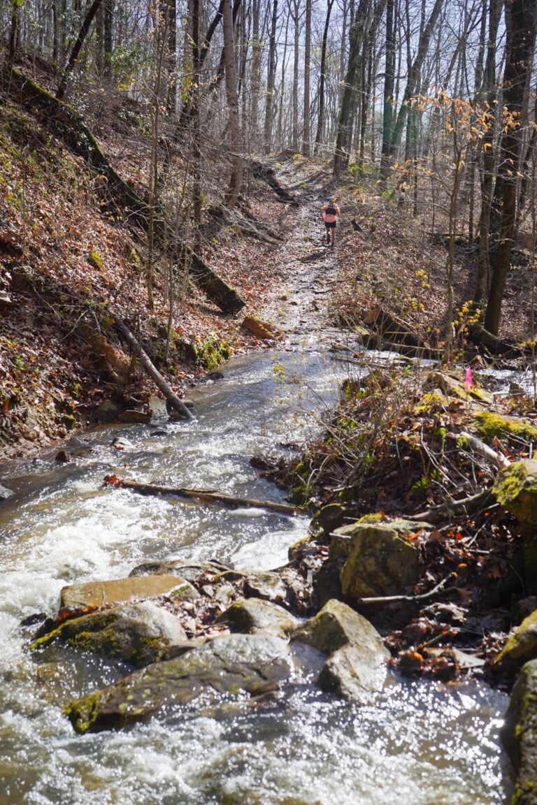 Savage Gulf 2023 trail race photo 119