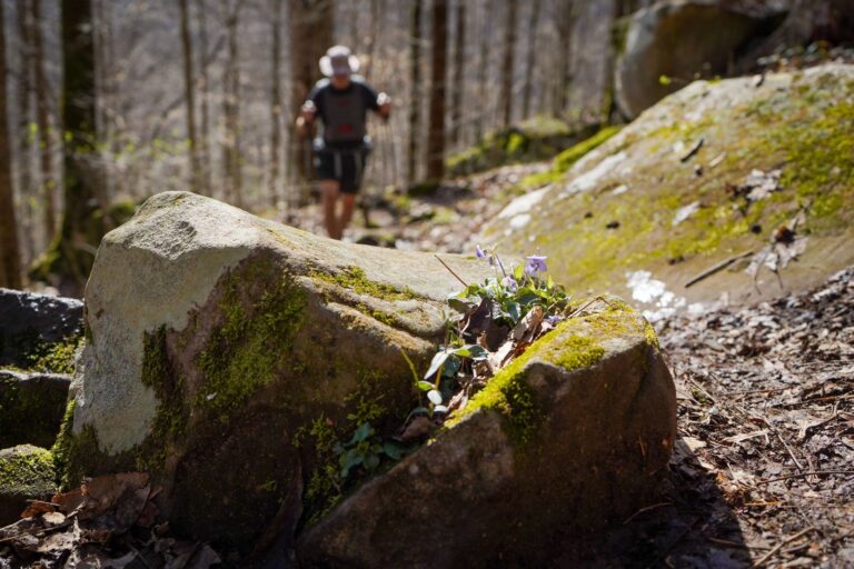 Savage Gulf 2023 trail race photo 156