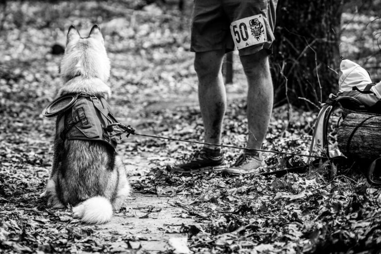 Savage Gulf 2023 trail race photo 263