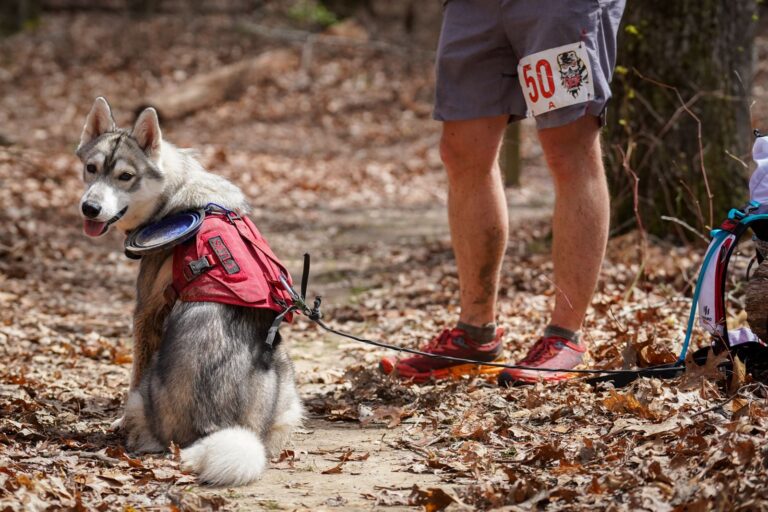 Savage Gulf 2023 trail race photo 264