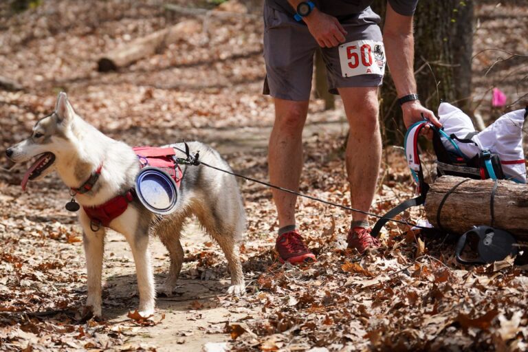 Savage Gulf 2023 trail race photo 265